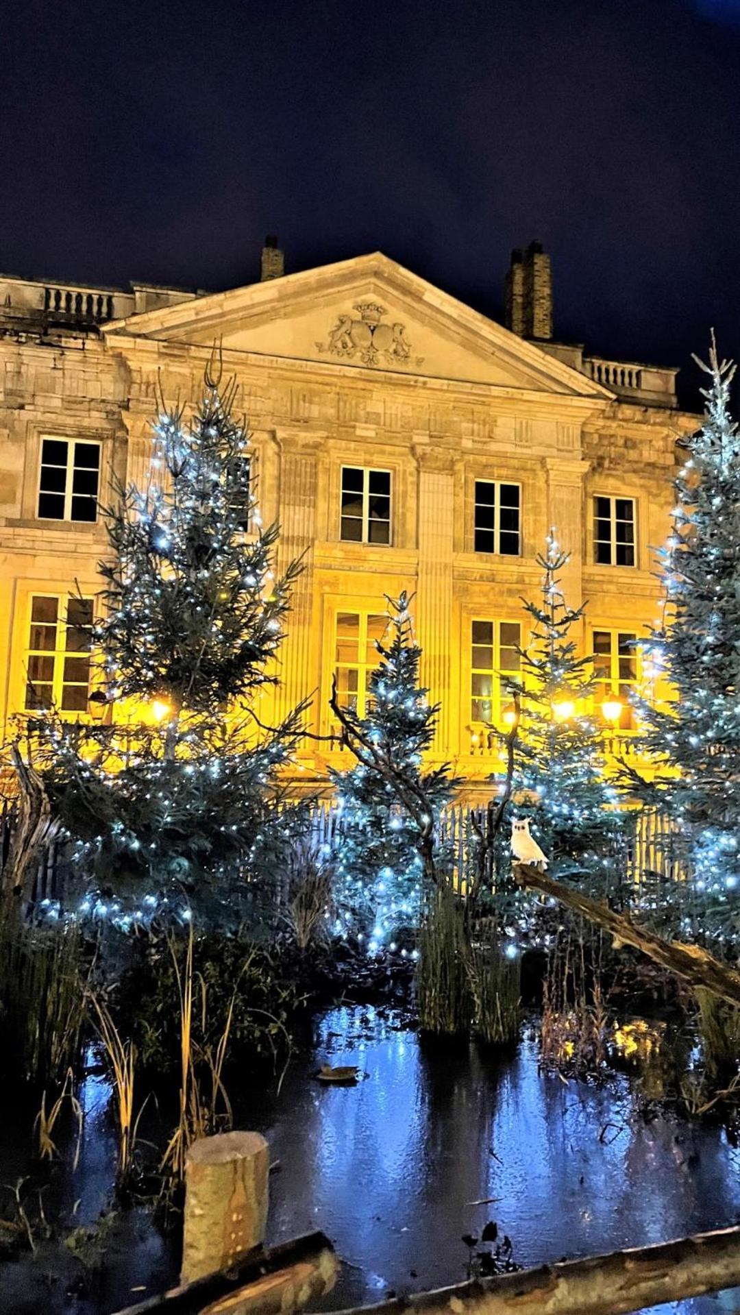 Cocon Lumineux Proche De La Ville Fortifiee Et De Nausicaa Boulogne-sur-Mer Kültér fotó