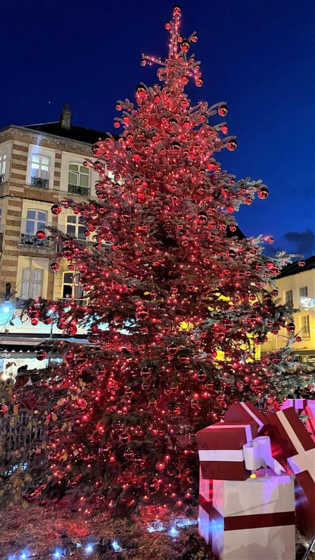 Cocon Lumineux Proche De La Ville Fortifiee Et De Nausicaa Boulogne-sur-Mer Kültér fotó